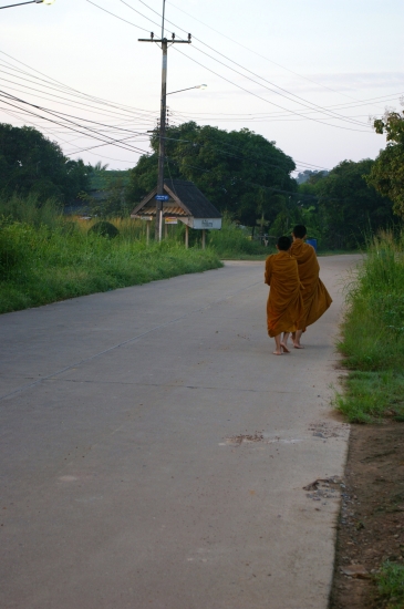 moines devant la maison